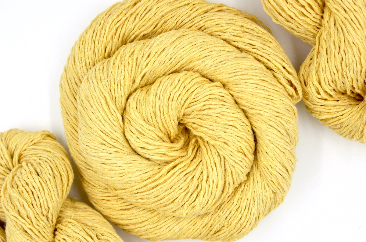 A skein of Golden Yellow, 100% Cotton, Sport weight Yarn recycled by hand from unwanted sweaters swirled attractively in the center of the frame.